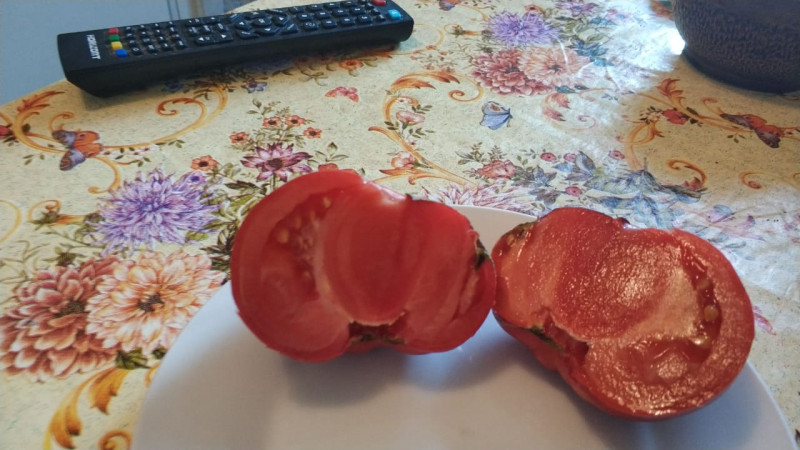Яблочный минуссинский