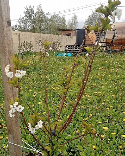 Молодежная 23.05.2020 г..jpg