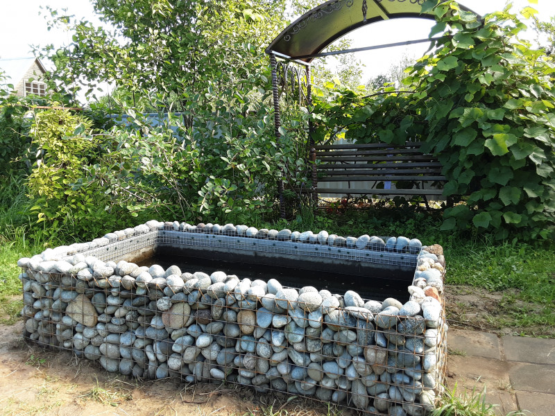 20200817_090555.jpg