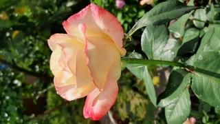 17215D5E-B310-4DB5-9DAA-E01D4B85FA21.jpeg