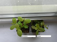 DSCN3674.JPG