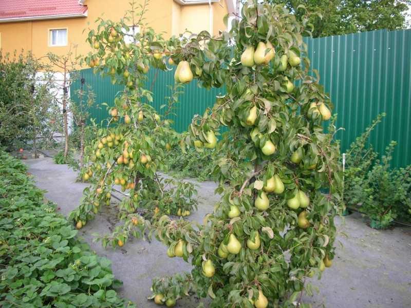 DSCN2756.jpg