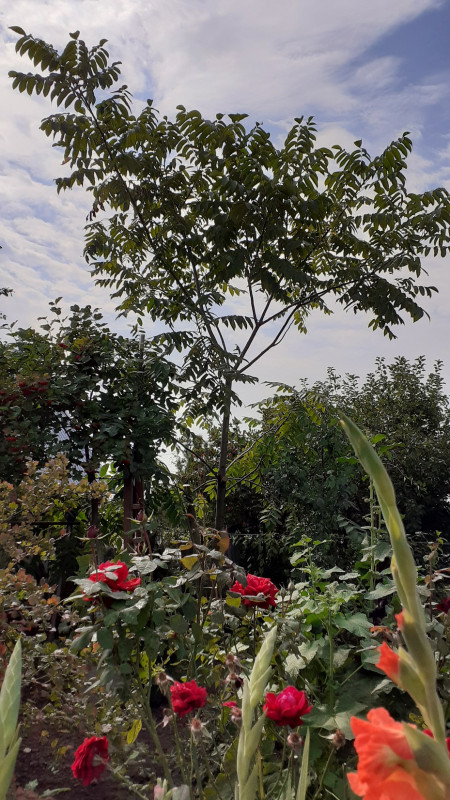 20200828_113955.jpg