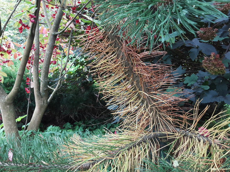 20200901_144708.jpg