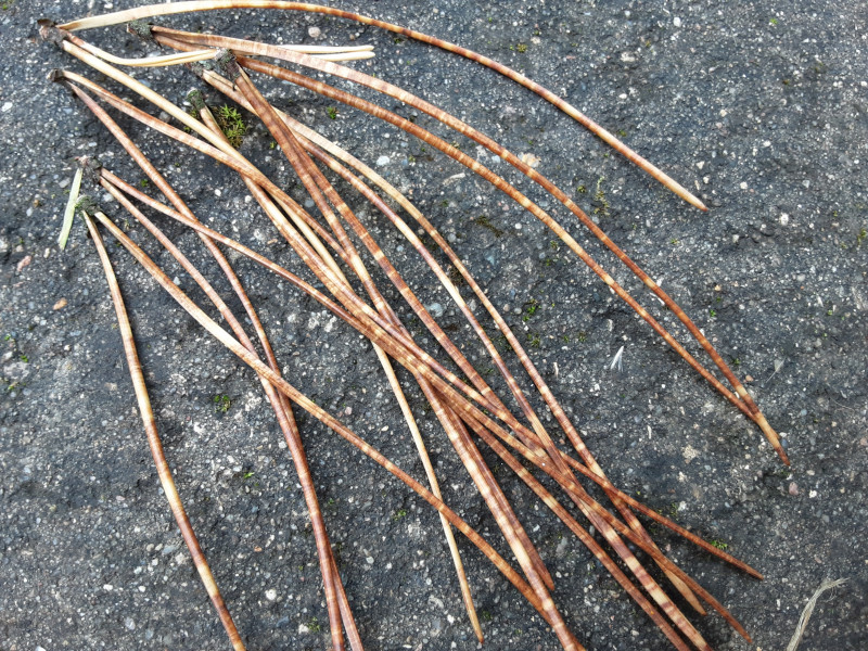 20200901_144905.jpg
