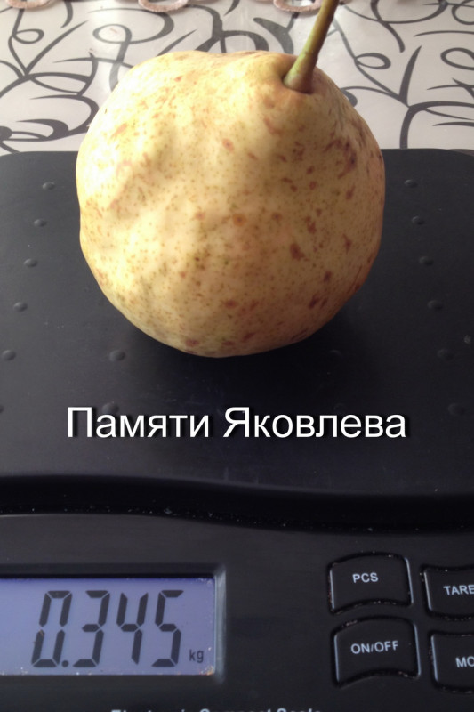 2016.09.17 20-11-26.JPG
