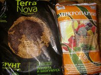 P1011012.JPG