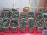 DSCN3268.JPG