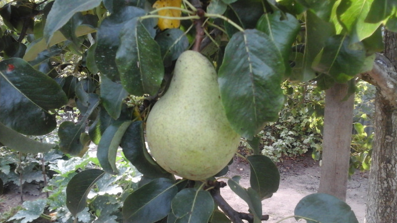 20200907_153144.jpg