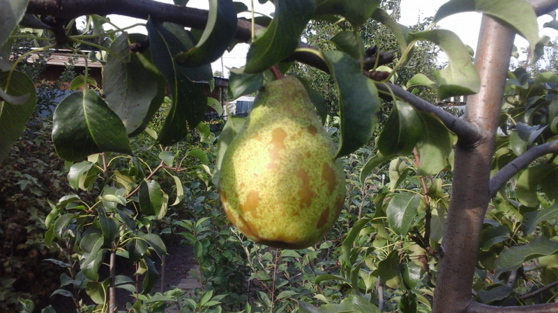20200907_153055.jpg