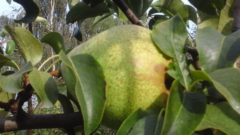 20200907_153616.jpg