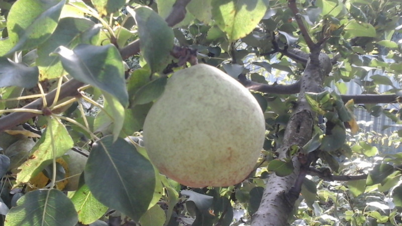 20200907_153220.jpg