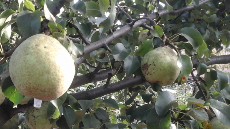 20200907_153414.jpg
