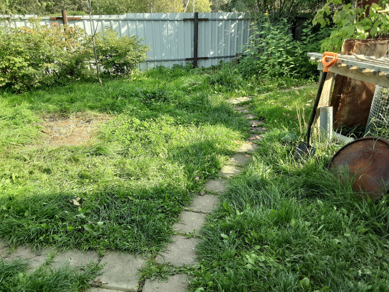 20200906_112040.jpg