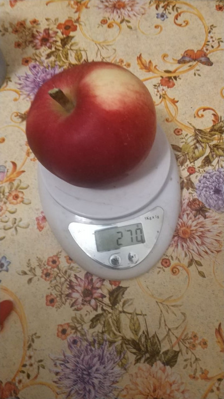 20.jpeg