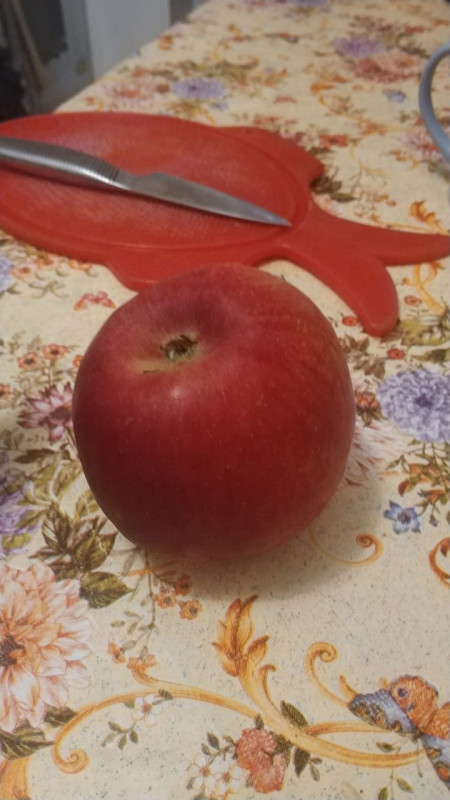 21.jpeg
