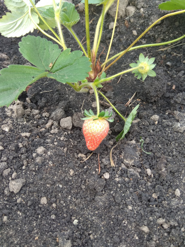 IMG_20200910_172836.jpg