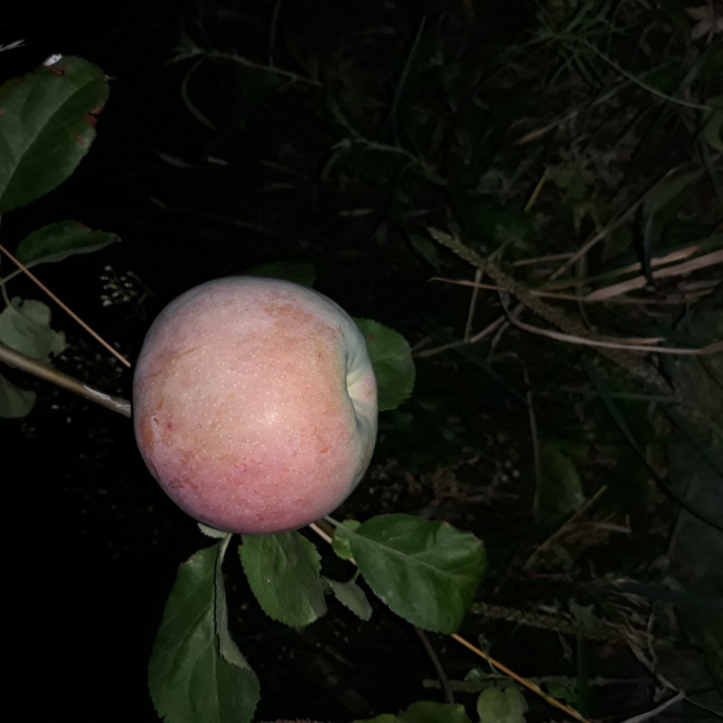 20200910_220233.jpg