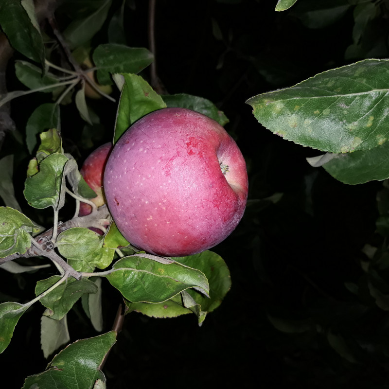 20200910_220551.jpg