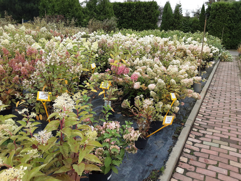 20200911_103954.jpg