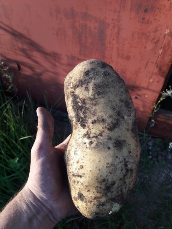IMG-20190831-WA0024.jpg