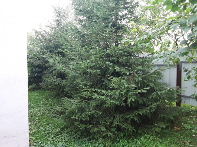 20200917_074124.jpg