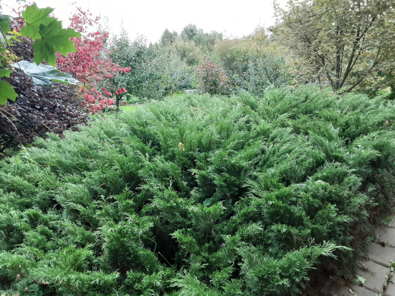20200917_074302.jpg