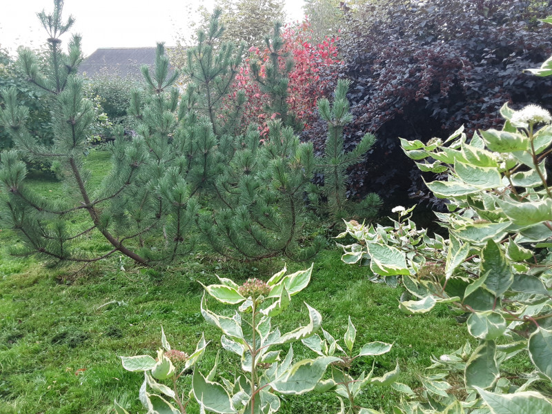 20200917_074419.jpg
