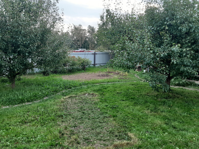 20200917_074531.jpg