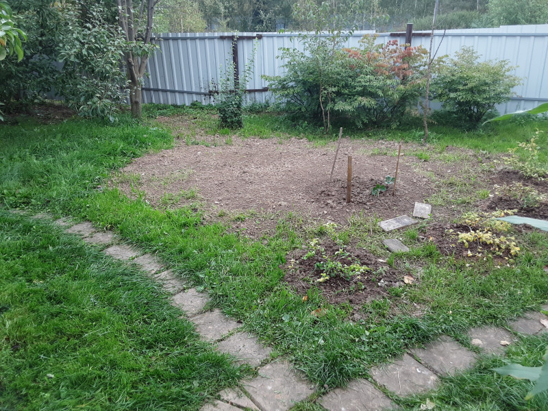 20200917_074723.jpg