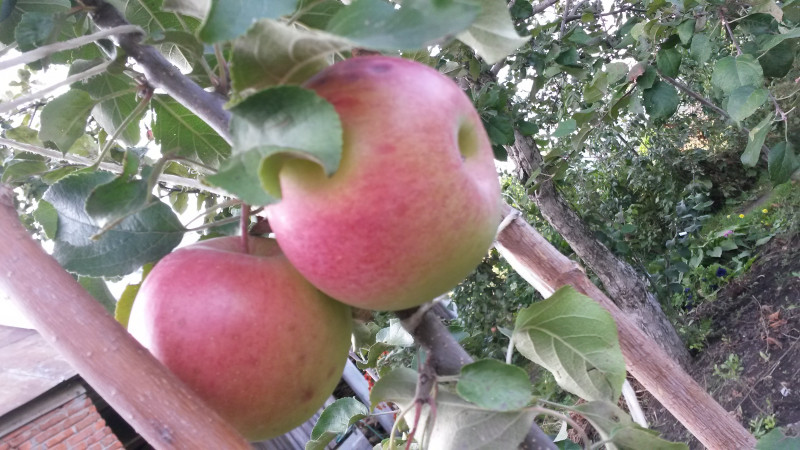 20200917_153056.jpg