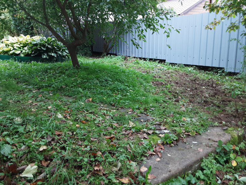 20200918_163526.jpg