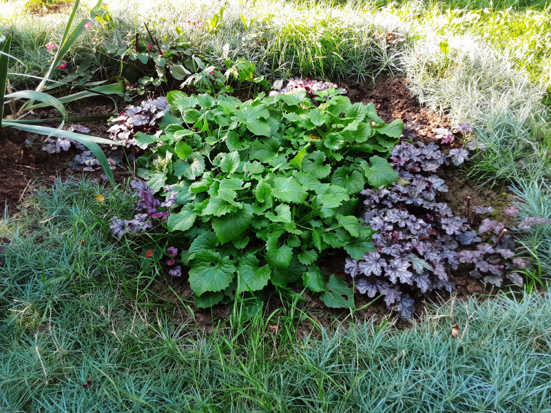 20200916_161024.jpg
