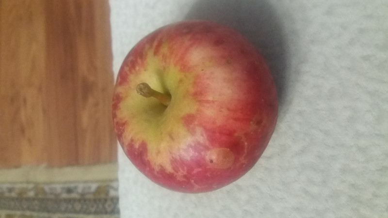 20200921_220746.jpg
