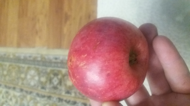 20200921_220804.jpg