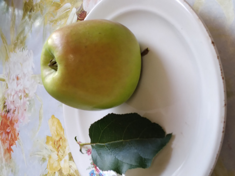 20200922_080556.jpg
