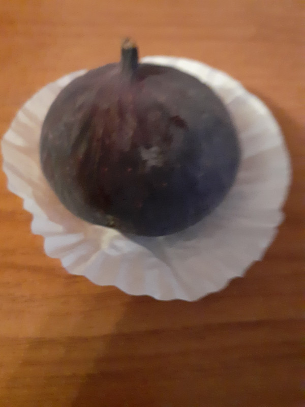 20200923_061931.jpg