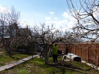 P1020448.JPG