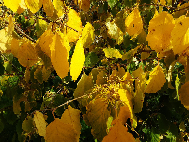 20200930_142825.jpg