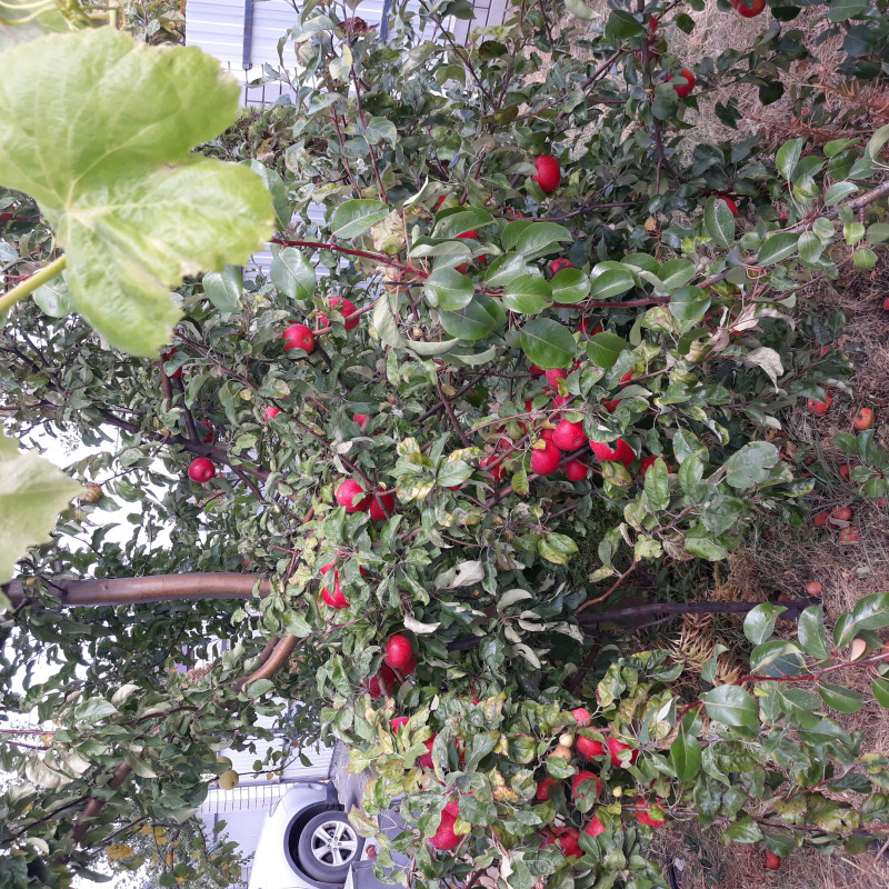 20200930_120522.jpg