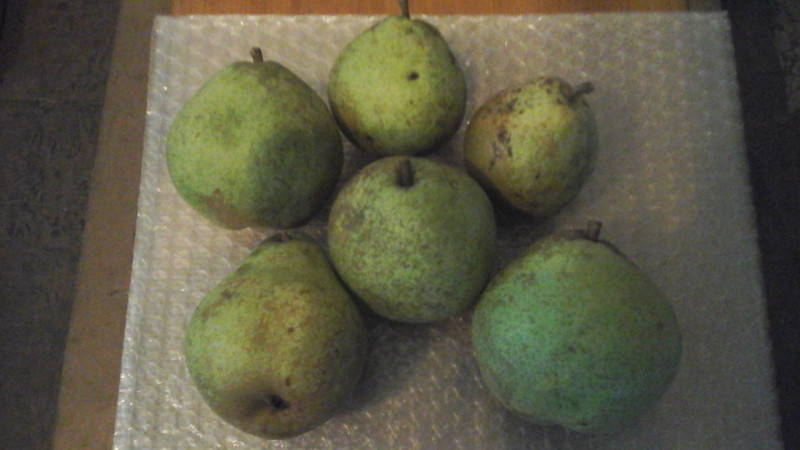 20201001_085508.jpg