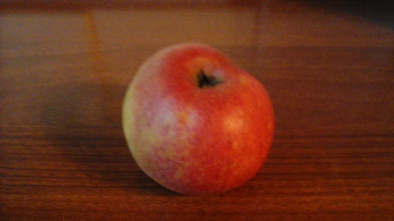 20201001_165042.jpg