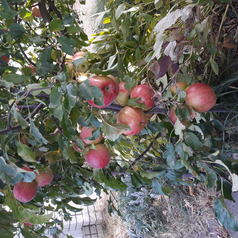 20201001_150606.jpg