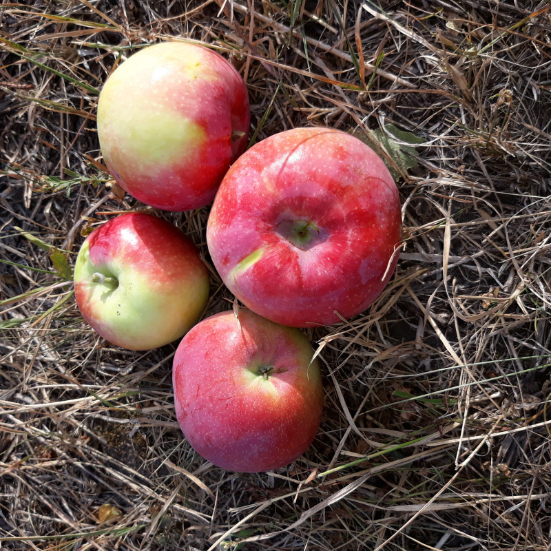 20201001_155759.jpg