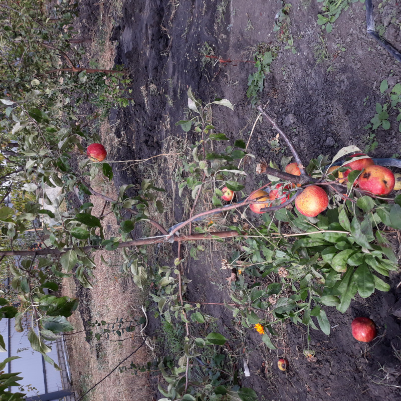 20201002_124628.jpg