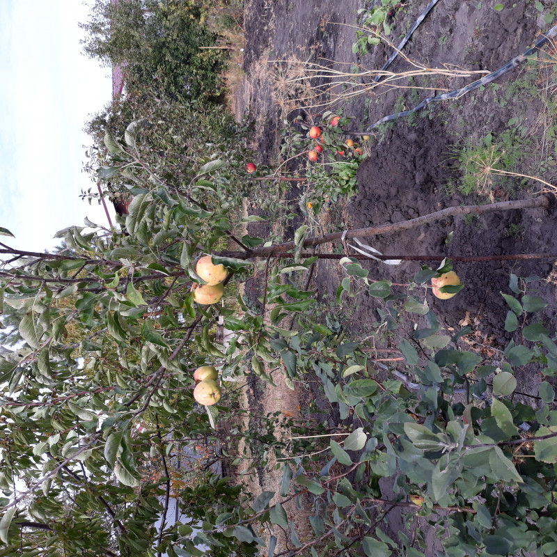20201002_124612.jpg