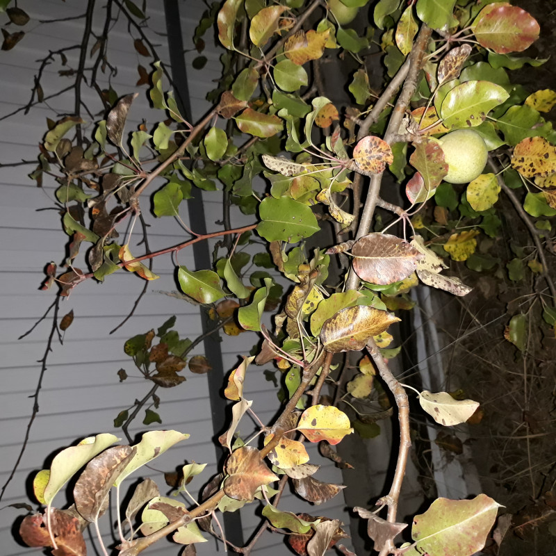 20201003_190549.jpg