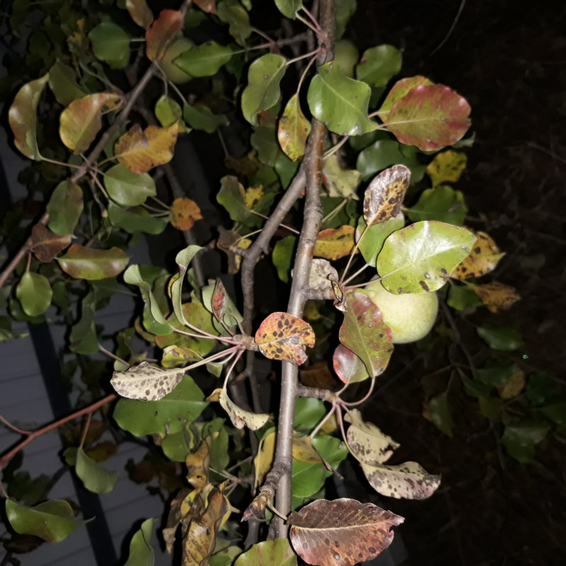 20201003_190523.jpg