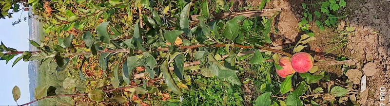 upload_2020_10_04_10_10_35_288.jpg