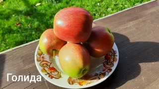 DD73E196-3A51-42D8-9D75-6B655C6CCCB9.jpeg